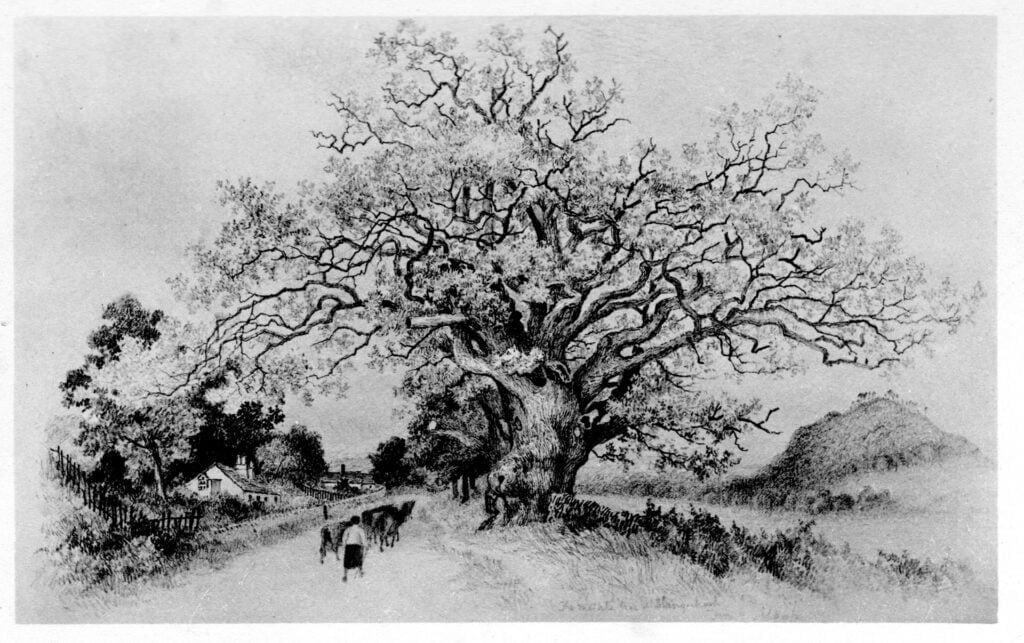 8 The Meikle Tee of Blairquhosh p92